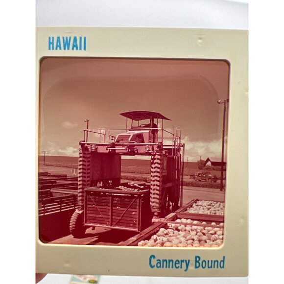 Vintage Pineapple & Sugar Cane Industries GAF Pana-Vue Travel Slides Hawaii - Picture 3 of 11